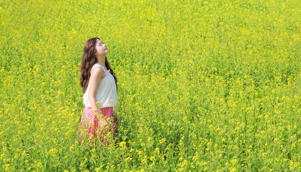 It's Jeju, it's South Korea, and it's right in Da Nang! 😄😍 - ảnh 6