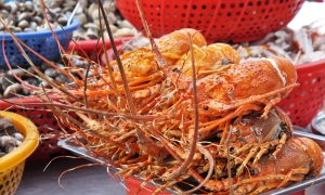 Oc Oanh Vinh Khanh – a snail restaurant that has been the pioneer of the "snail street" in District 4 for 20 years. - ảnh 5