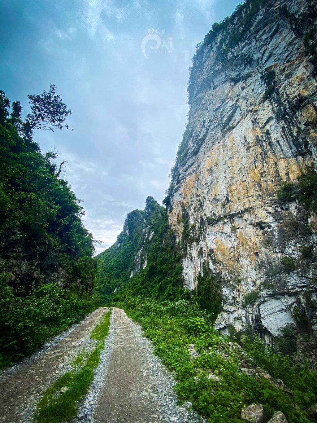 Recientemente, esta cascada ha ganado mucha popularidad en Hà Giang... la cascada Phìn T. - ảnh 7