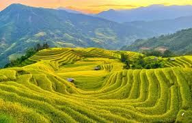 The 3-day, 2-night journey in Ha Giang is not just a trip. - 3