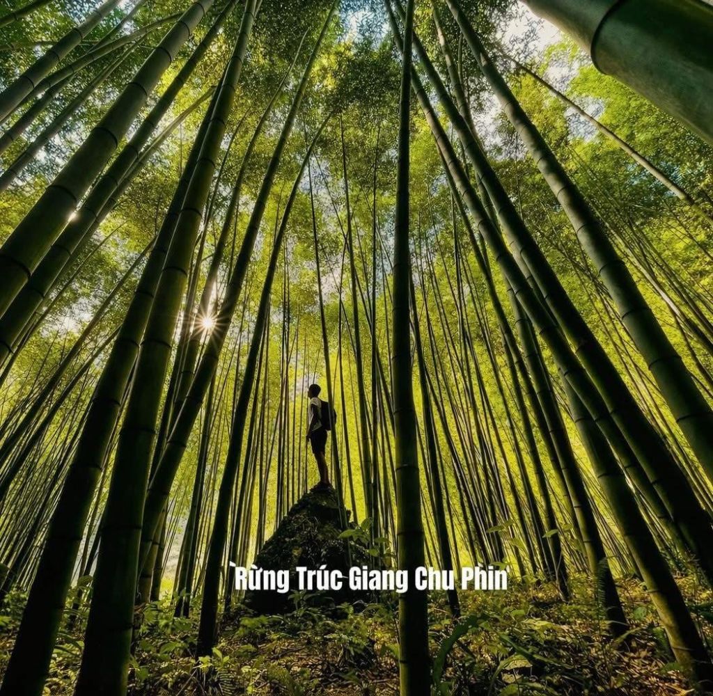 There are still many "Hidden Gems" in the mountains. - ảnh 13