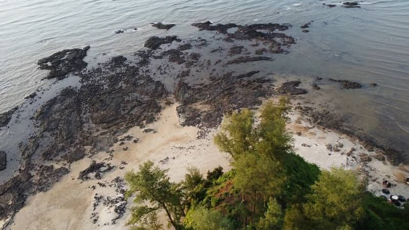 VIET DOOR - TUNG DOOR: TWO SEA GEMS OF SOUTH QUANG TRI - ảnh 6