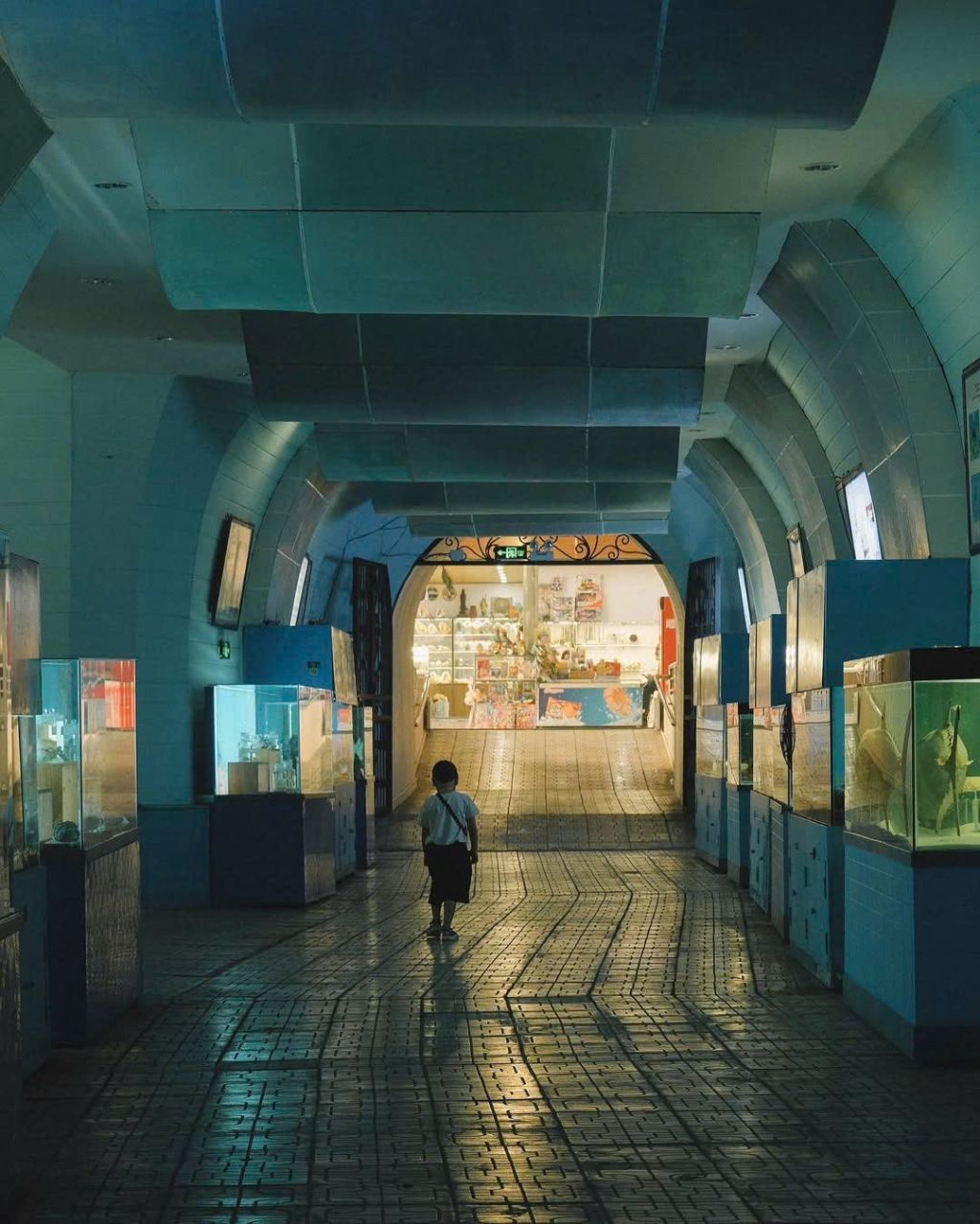 OCEANOGRAPHY INSTITUTE - A FASCINATING JOURNEY TO EXPLORE THE OCEAN - ảnh 3