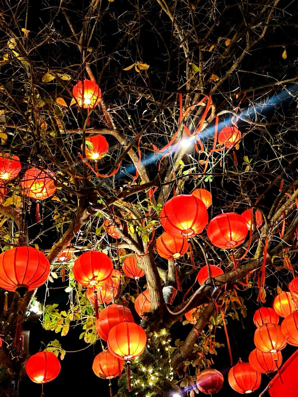 Come to Hoi An from around 5 PM to the evening, you will feel... - 2