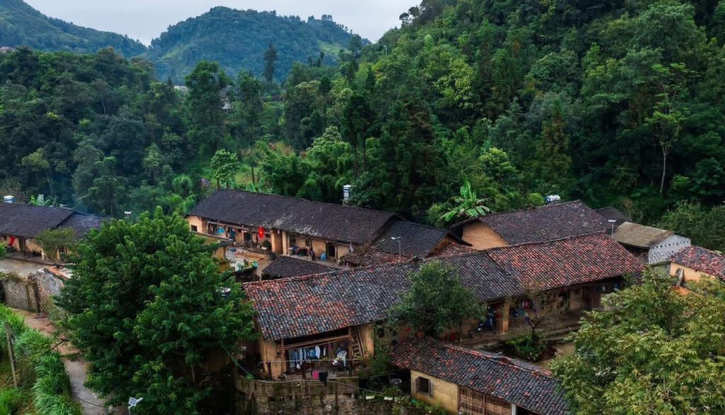 The Thên Pả - a place that serves as a tranquil retreat beneath the cotton trees. - 4