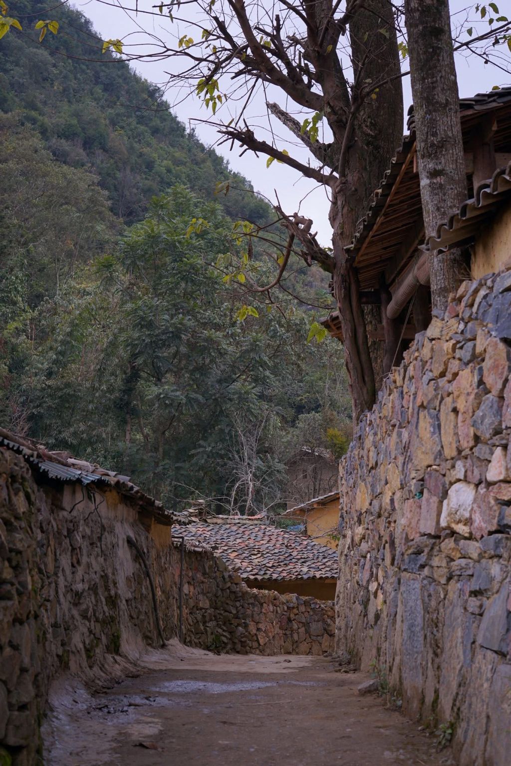The Thên Pả - a place that serves as a tranquil retreat beneath the cotton trees. - ảnh 6