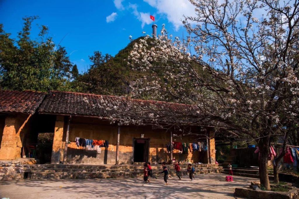 The Thên Pả - a place that serves as a tranquil retreat beneath the cotton trees. - ảnh 9