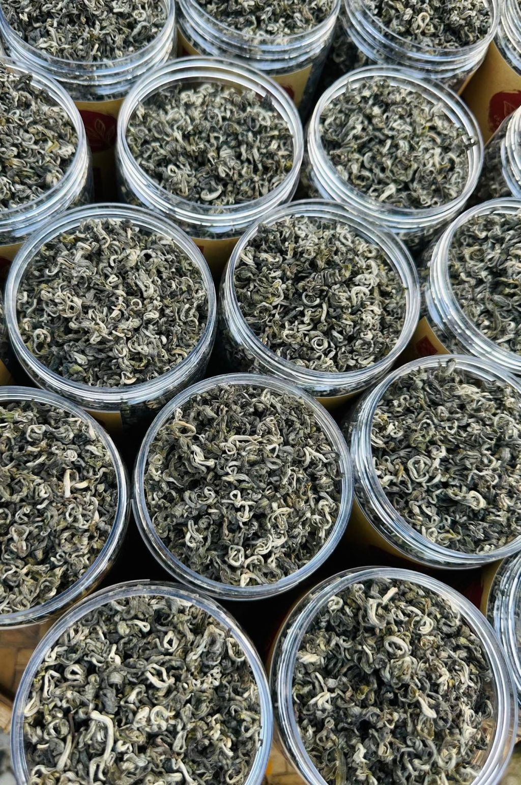 Shan Tuyet Ancient Tree Tea Ha Giang - 4