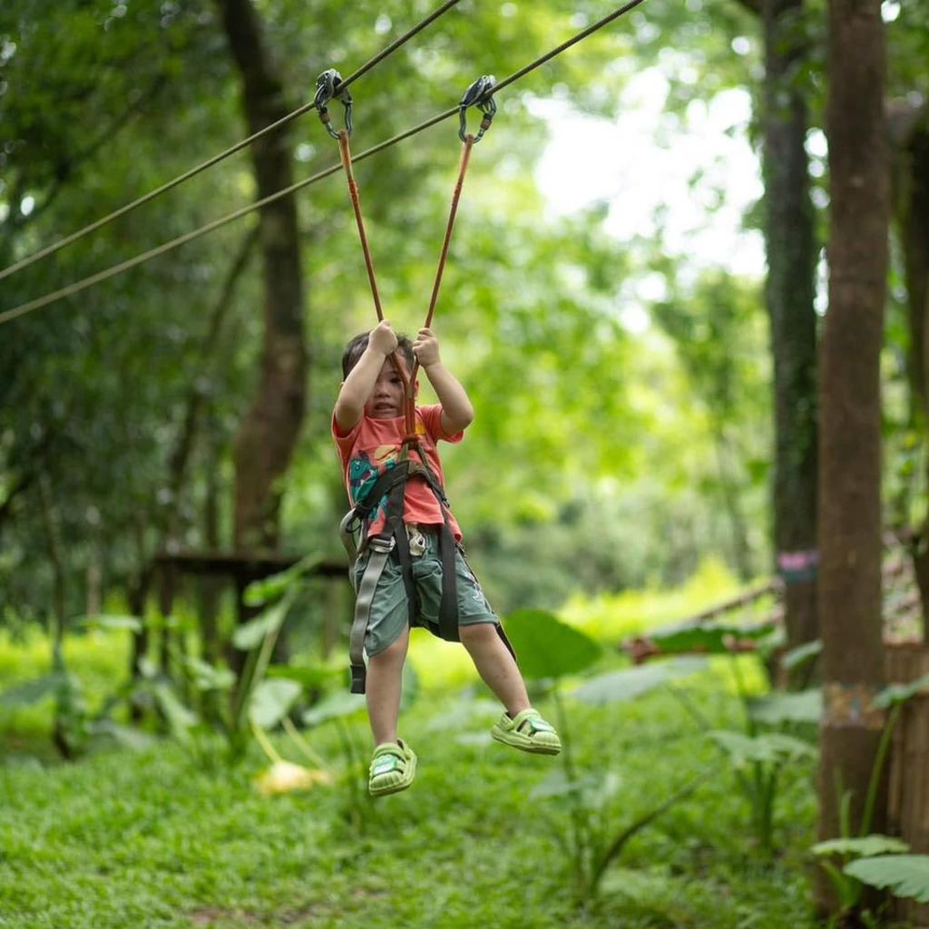 OZO PARK – A DISCOVERY WORLD IN THE FOREST FOR KIDS - 4