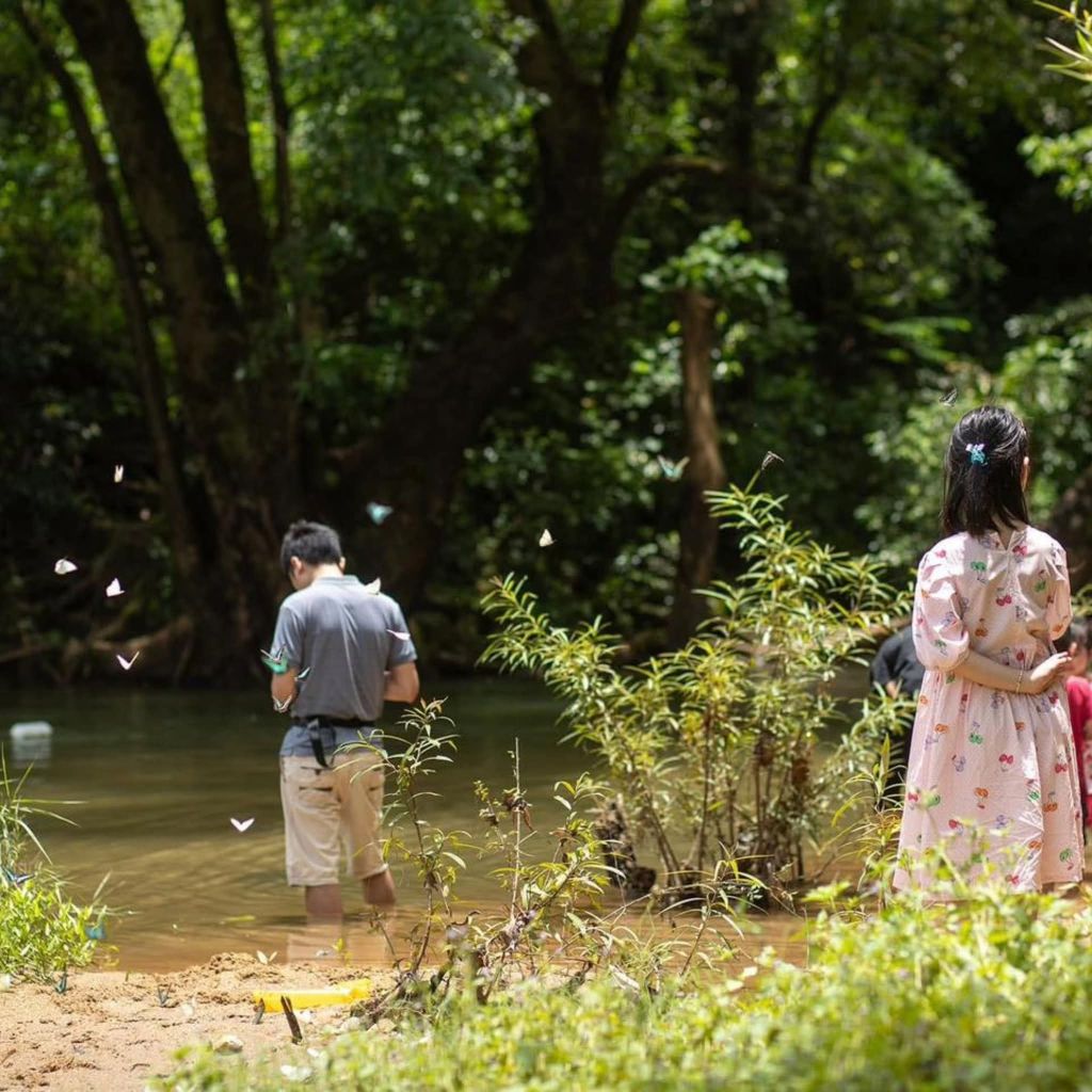 OZO PARK – A DISCOVERY WORLD IN THE FOREST FOR KIDS - ảnh 5