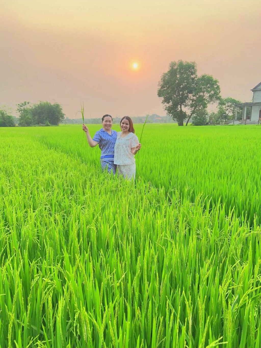 That means she understands what you're implying. Let's arrange to help her mother. - 2