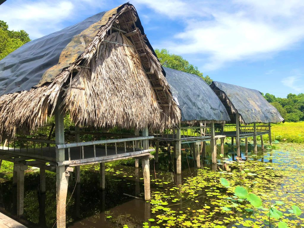 Trằm Trà Lộc – A Peaceful Place to "Soothe" the Soul in the Heart of Quang Tri - 1