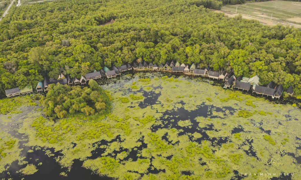 Trằm Trà Lộc – A Peaceful Place to "Soothe" the Soul in the Heart of Quang Tri - 2