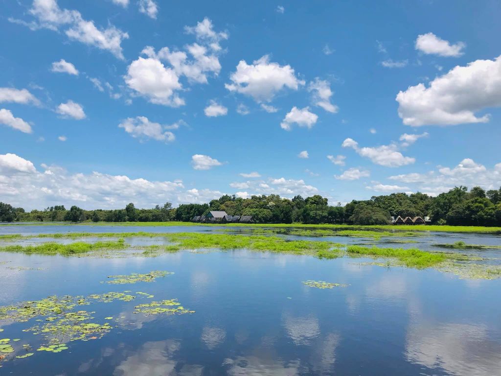 Trằm Trà Lộc – A Peaceful Place to "Soothe" the Soul in the Heart of Quang Tri - 3