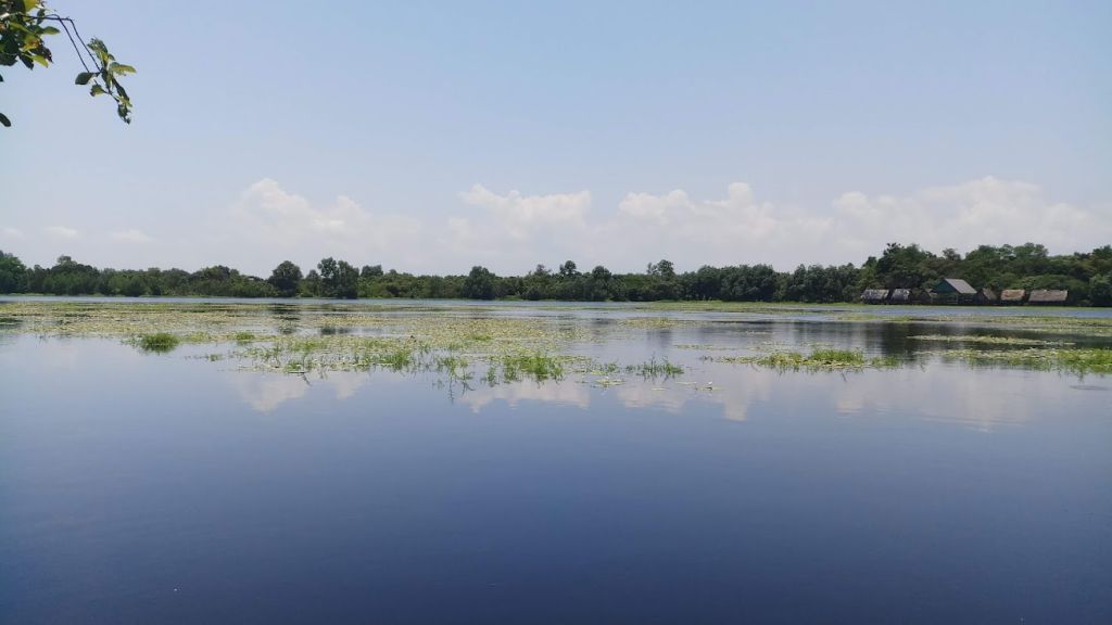 Trằm Trà Lộc – A Peaceful Place to "Soothe" the Soul in the Heart of Quang Tri - 4