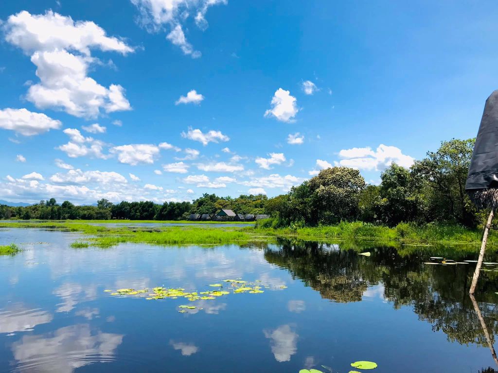 Trằm Trà Lộc – A Peaceful Place to "Soothe" the Soul in the Heart of Quang Tri - ảnh 5