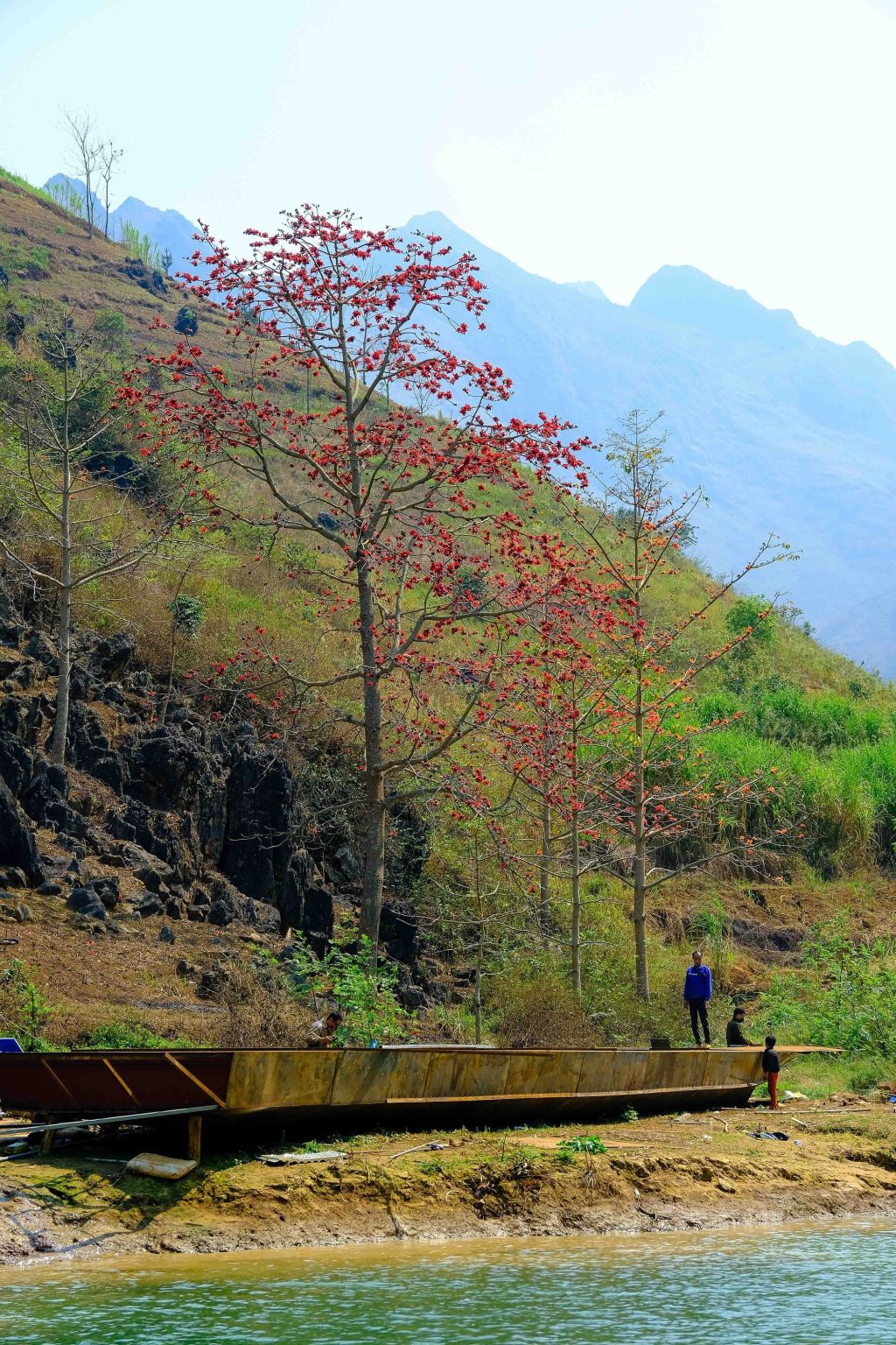 In April, Ha Giang is in full bloom with the cotton flowers. April is the time when the cotton flowers bloom. - 2