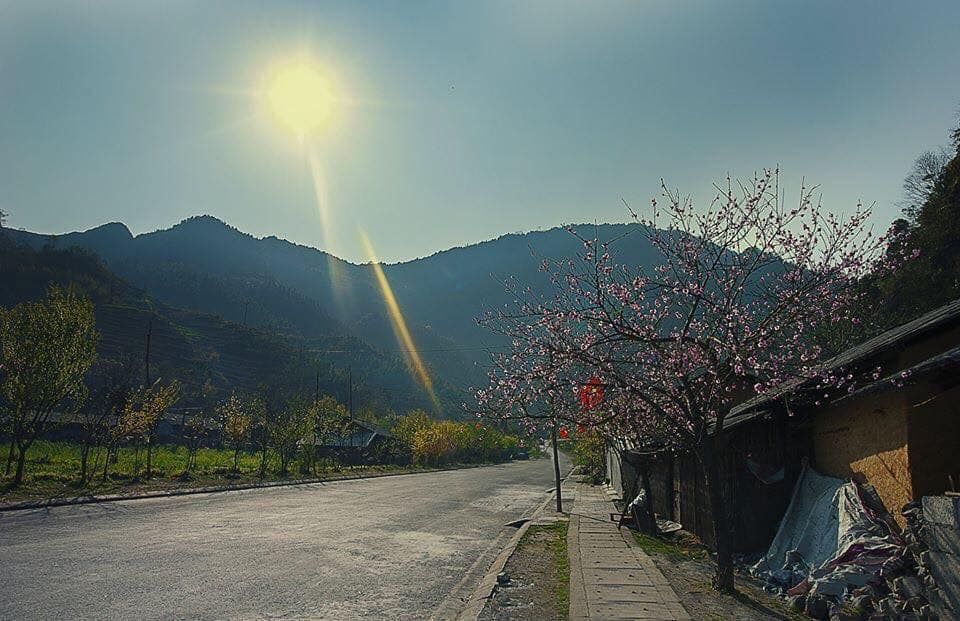 Watching the sunrise at Mã Pí Lèng in April. April is a time that's easy to... - 4
