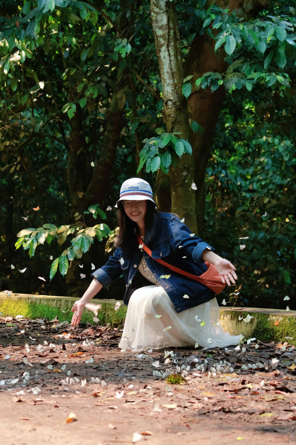 Cuc Phuong Butterfly Hunting Experience  
This year's butterfly season in Cuc Phuong - 1