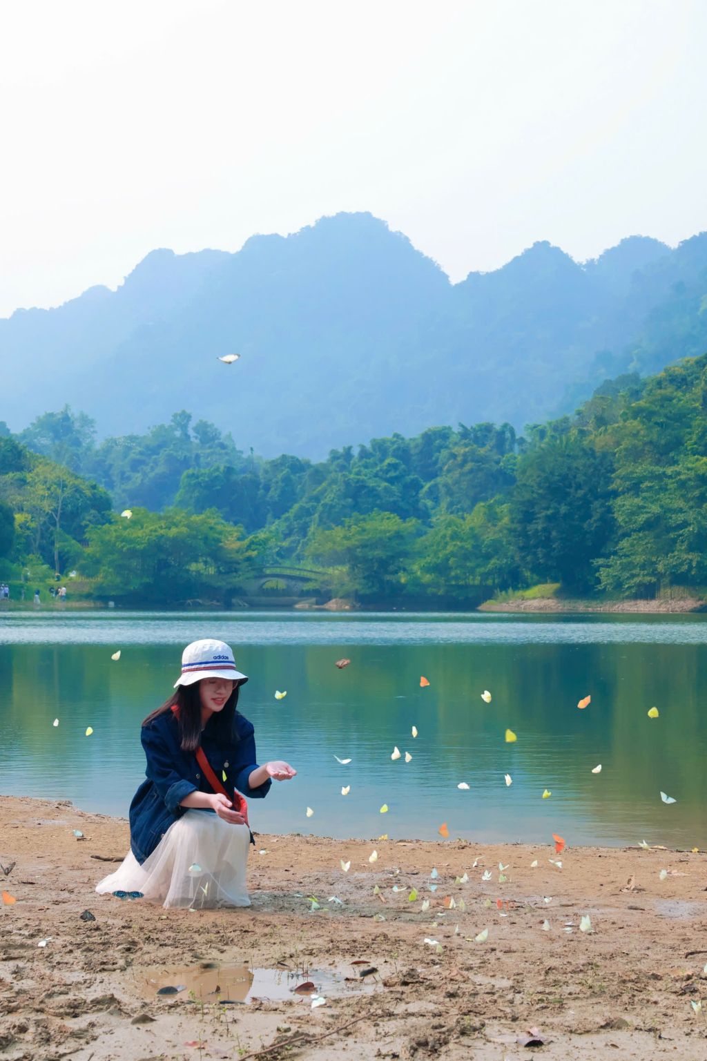 Cuc Phuong Butterfly Hunting Experience  
This year's butterfly season in Cuc Phuong - 3