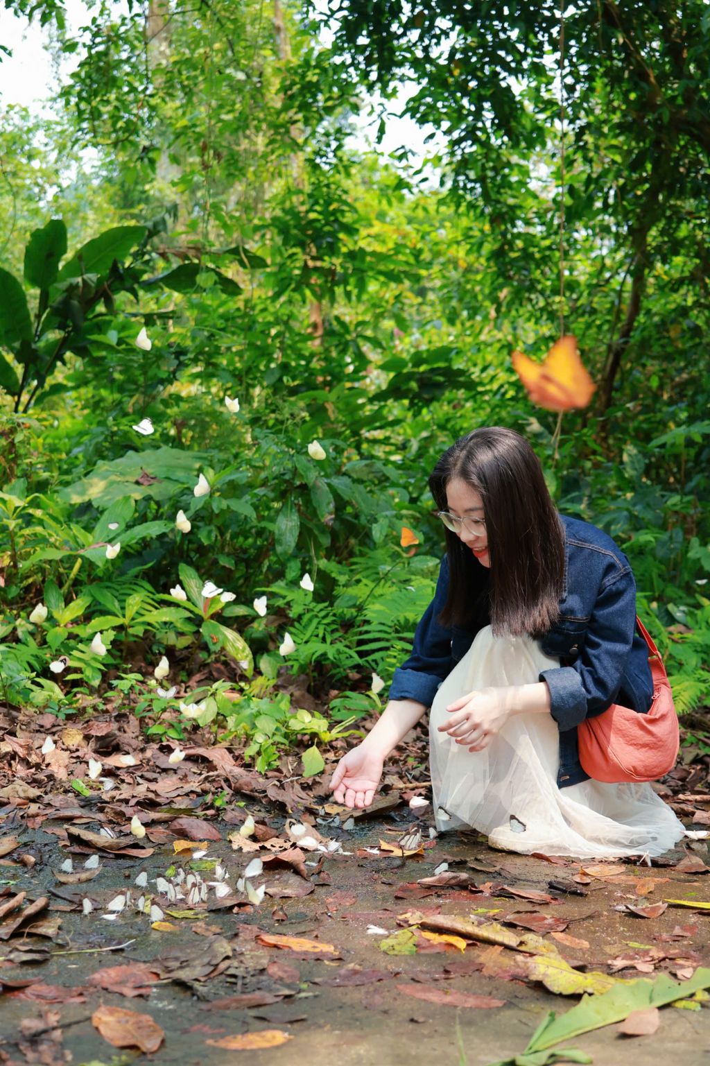 Cuc Phuong Butterfly Hunting Experience  
This year's butterfly season in Cuc Phuong - 4