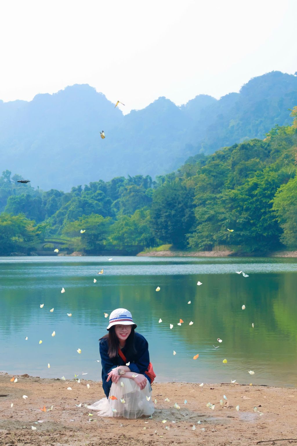 Where are the butterflies in Cuc Phuong concentrated the most? - 2