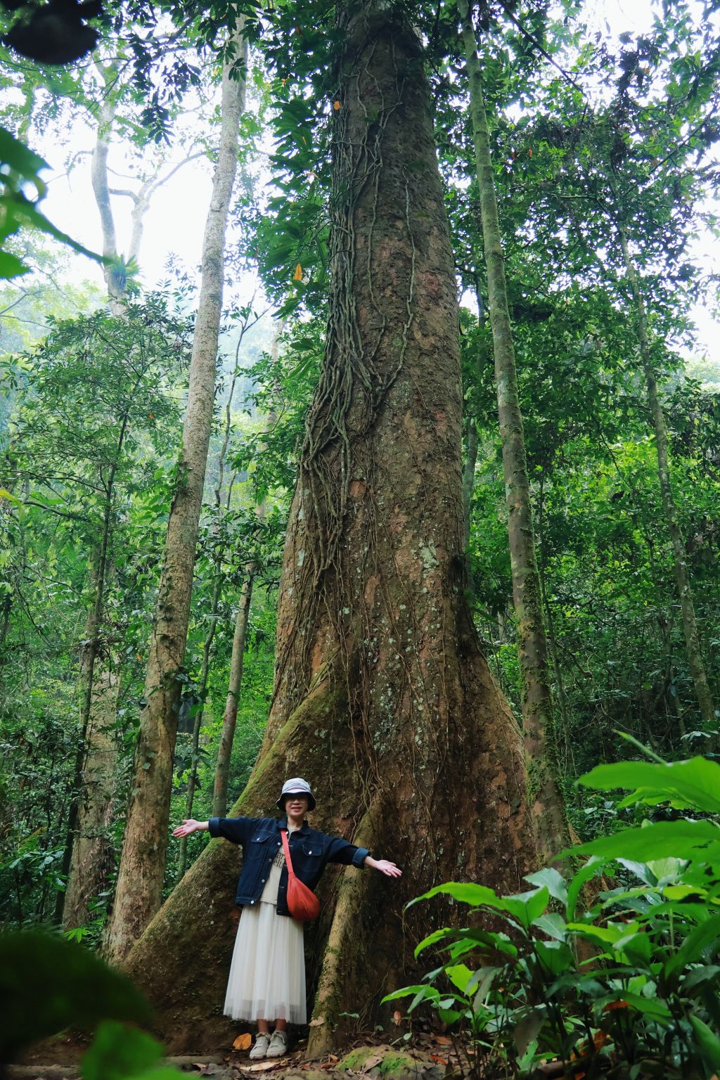 Schedule for a 1-day exploration of Cuc Phuong during butterfly season  
5:30 AM: Departure - 1