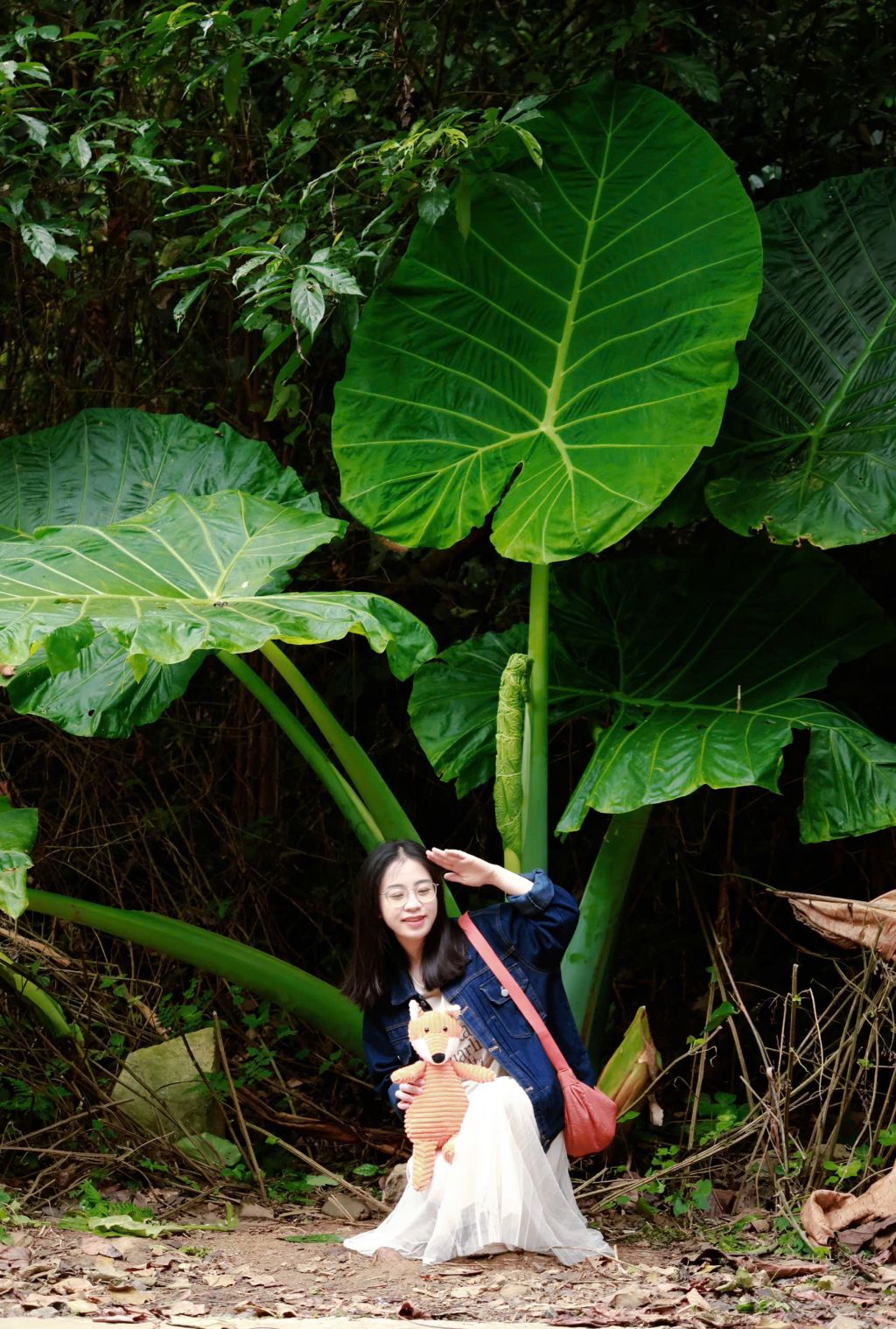 Schedule for a 1-day exploration of Cuc Phuong during butterfly season  
5:30 AM: Departure - 4