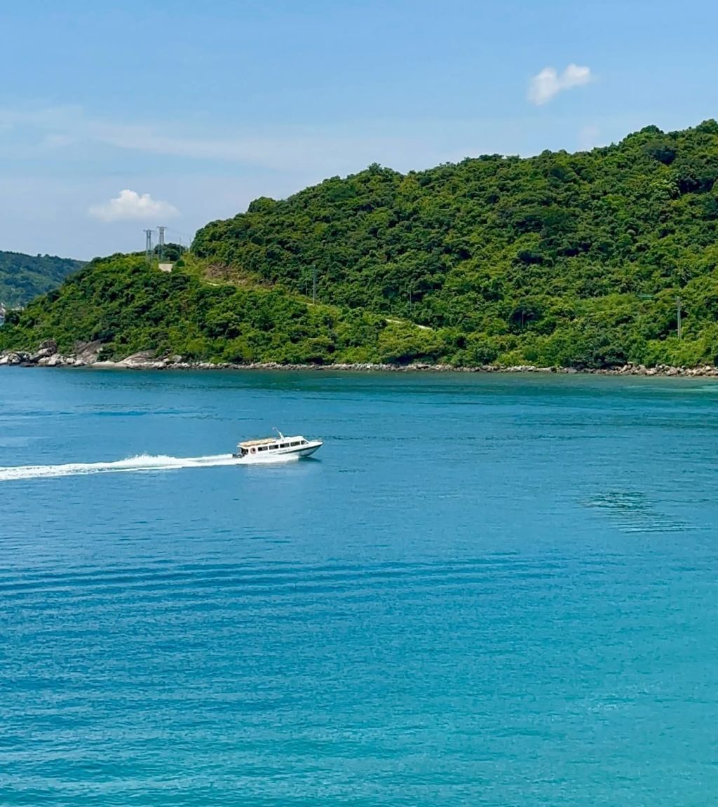 I admit that I've been quite weak and lacking in nutrients lately, specifically vitamin C. - 1