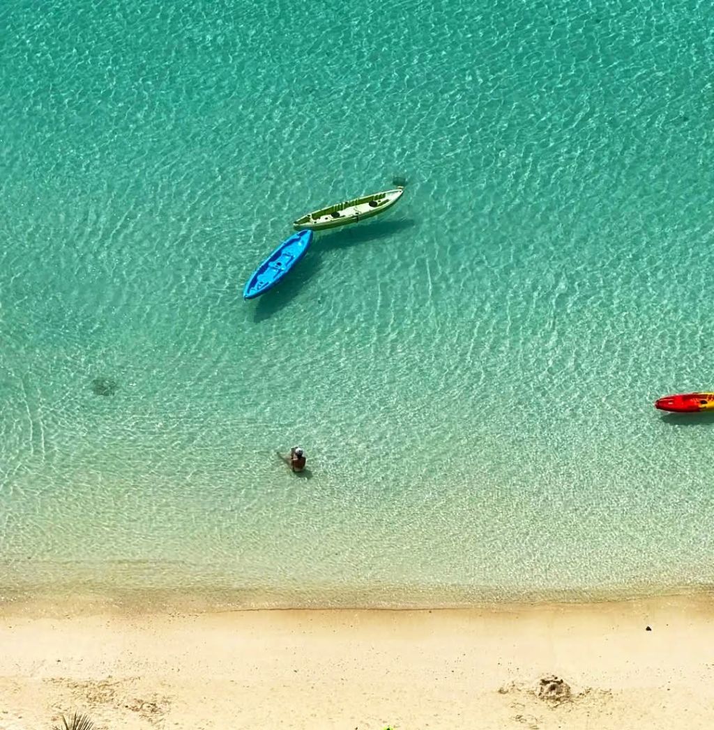 I admit that I've been quite weak and lacking in nutrients lately, specifically vitamin C. - 2