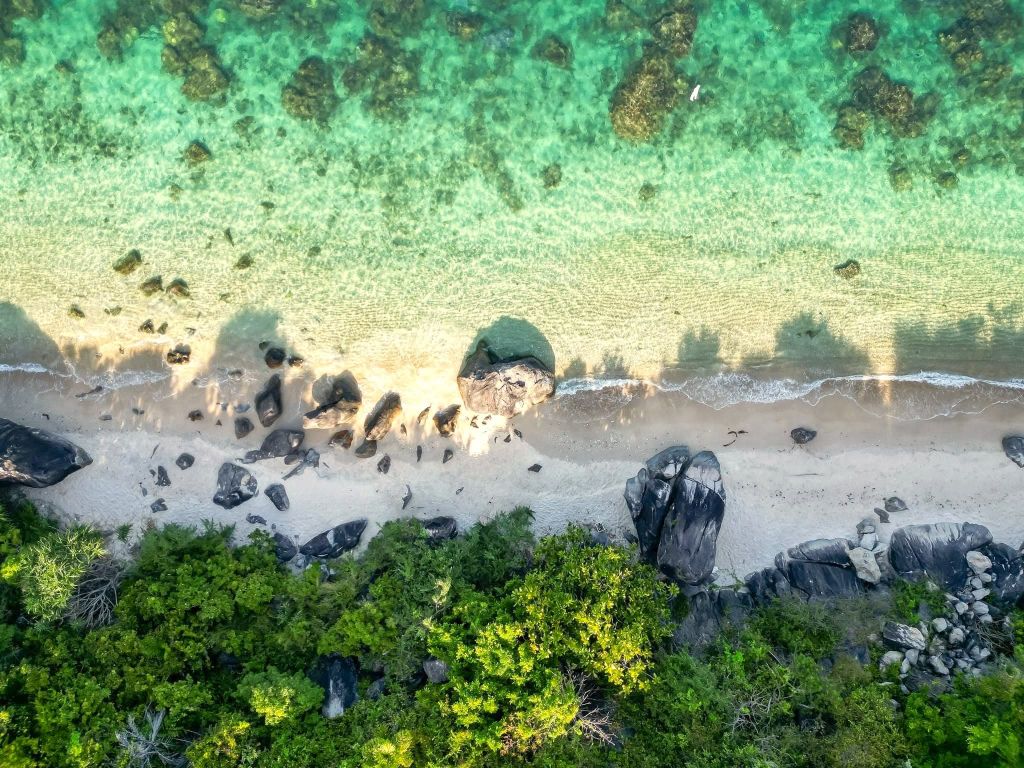 I admit that I've been quite weak and lacking in nutrients lately, specifically vitamin C. - 3