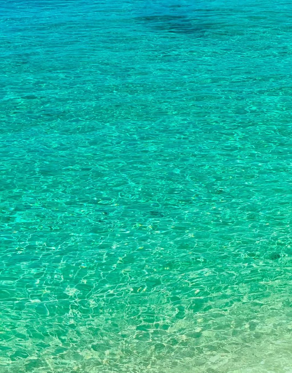 I admit that I've been quite weak and lacking in nutrients lately, specifically vitamin C. - 4