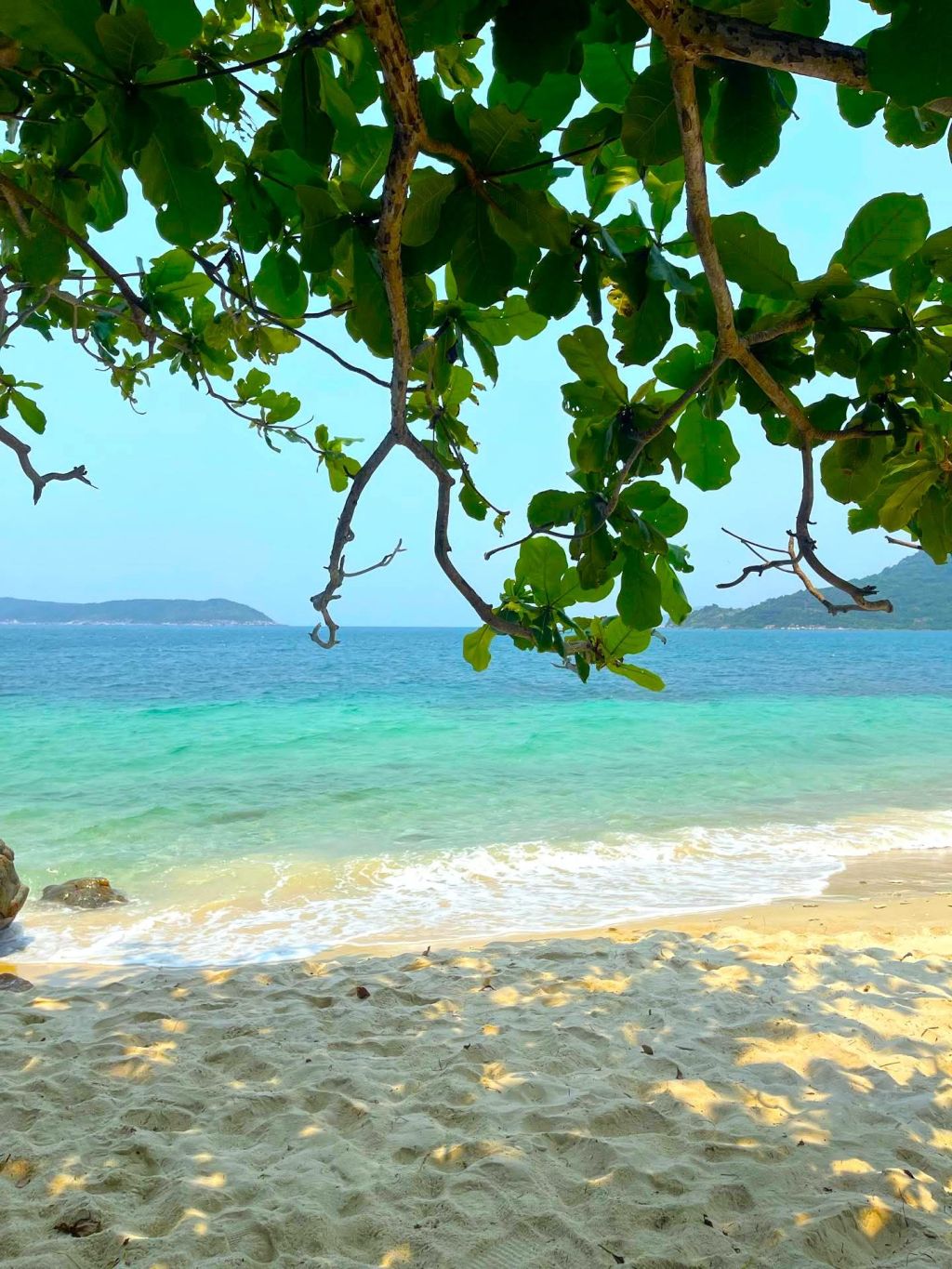 मैं स्वीकार करता हूँ कि हाल ही में मैं काफी कमजोर और पोषण की कमी महसूस कर रहा हूँ। विशेष रूप से परीक्षा के कारण। - ảnh 5