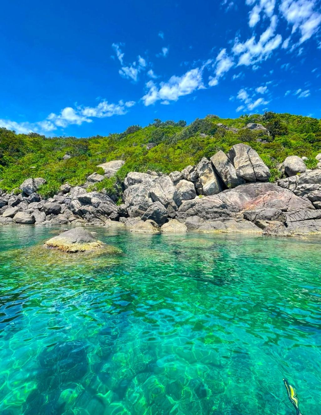 मैं स्वीकार करता हूँ कि हाल ही में मैं काफी कमजोर और पोषण की कमी महसूस कर रहा हूँ। विशेष रूप से परीक्षा के कारण। - ảnh 6