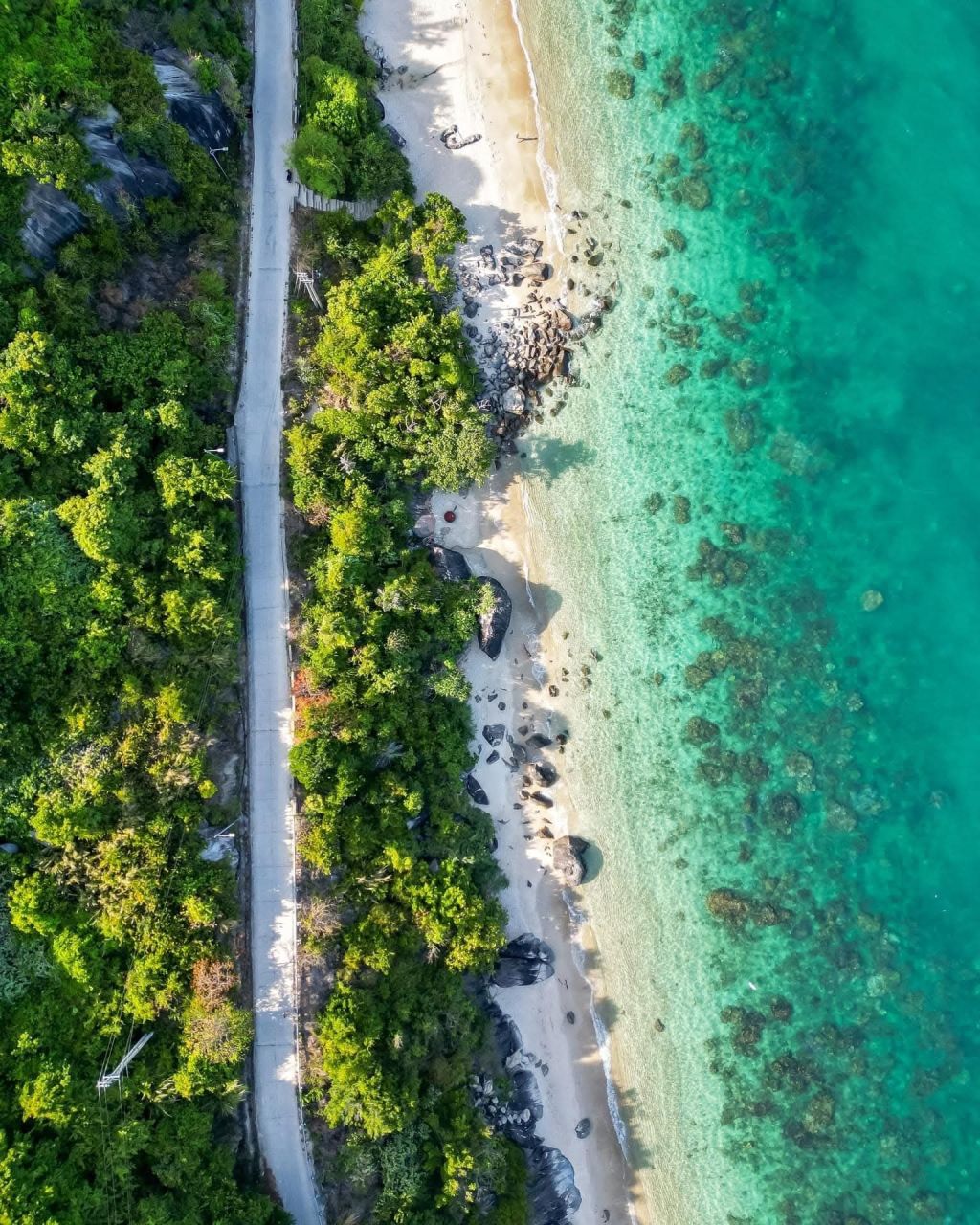 मैं स्वीकार करता हूँ कि हाल ही में मैं काफी कमजोर और पोषण की कमी महसूस कर रहा हूँ। विशेष रूप से परीक्षा के कारण। - ảnh 7