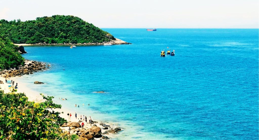 मैं स्वीकार करता हूँ कि हाल ही में मैं काफी कमजोर और पोषण की कमी महसूस कर रहा हूँ। विशेष रूप से परीक्षा के कारण। - ảnh 8