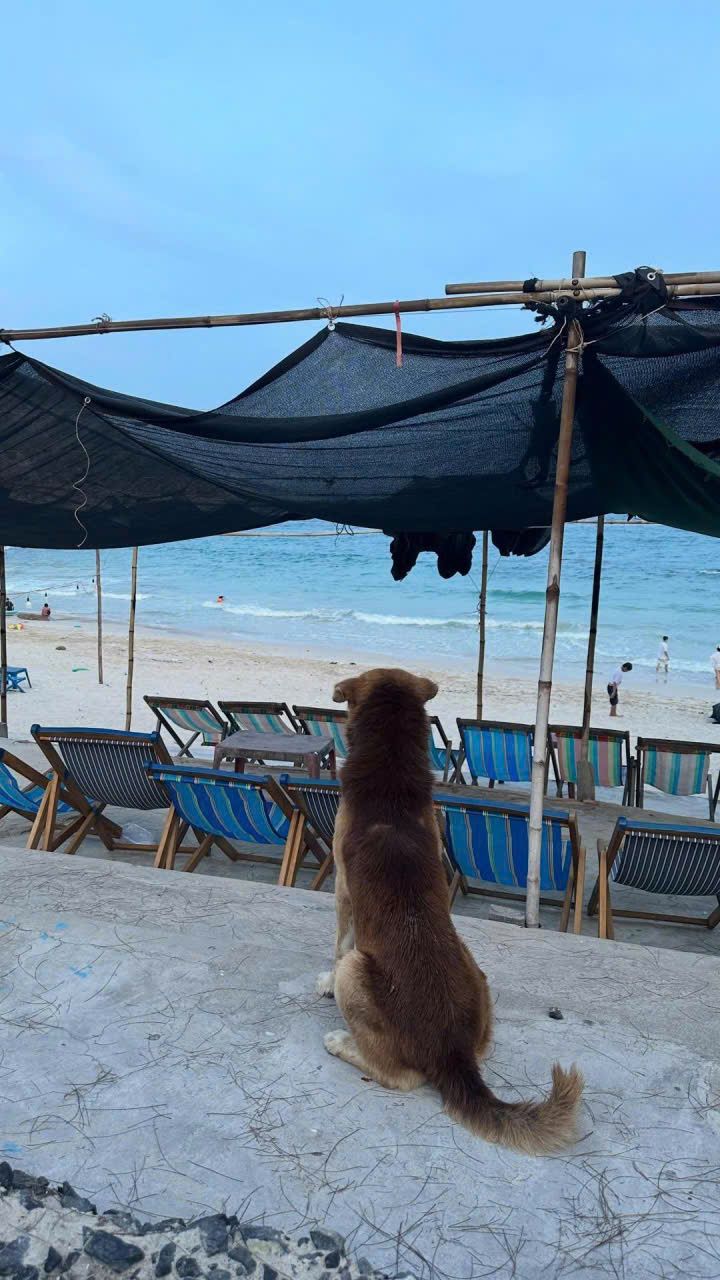 Binh Ba Island - a place that is not noisy, just quietly touching the soul. - 4