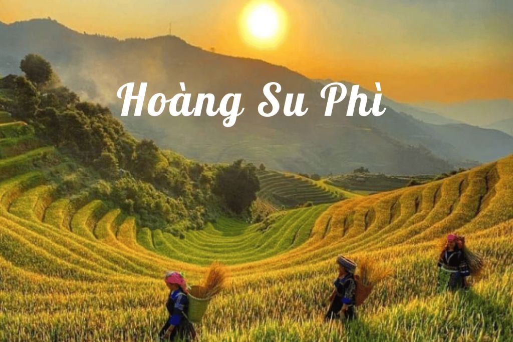 Discover Hoàng Su Phì – A masterpiece of terraced rice fields in the mountains of Hà Giang.