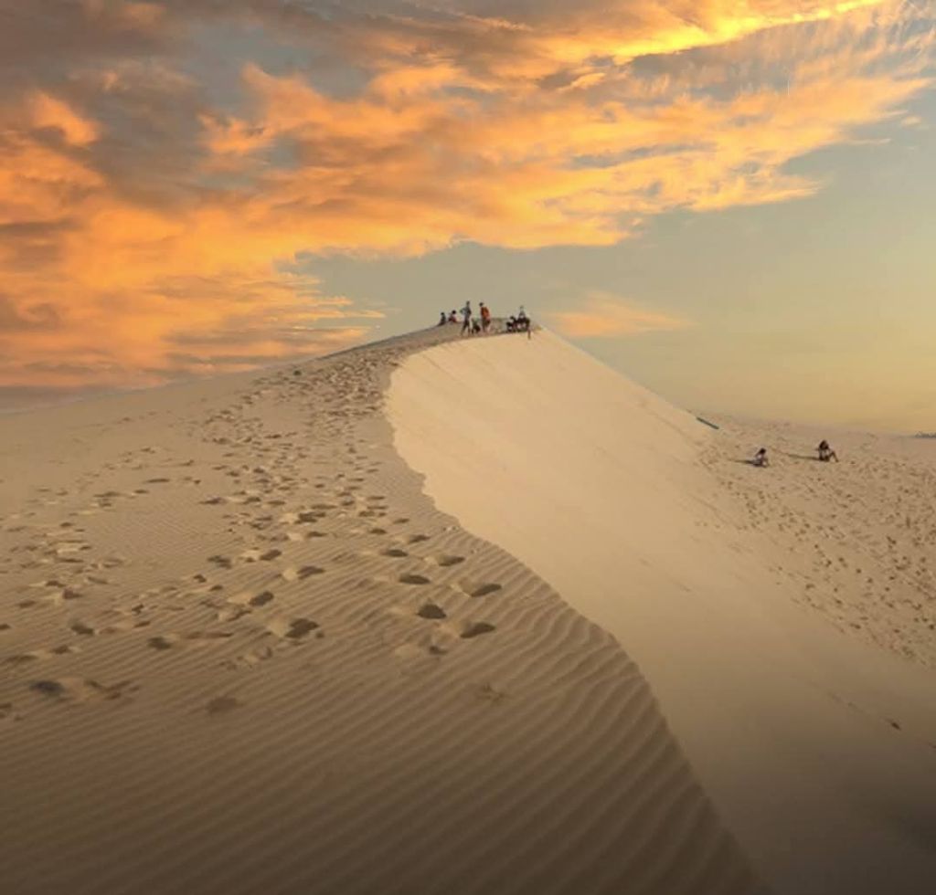 QUANG PHU SAND DUNES – THE PRISTINE BEAUTY OF THE SEA AND TIME - ảnh 6