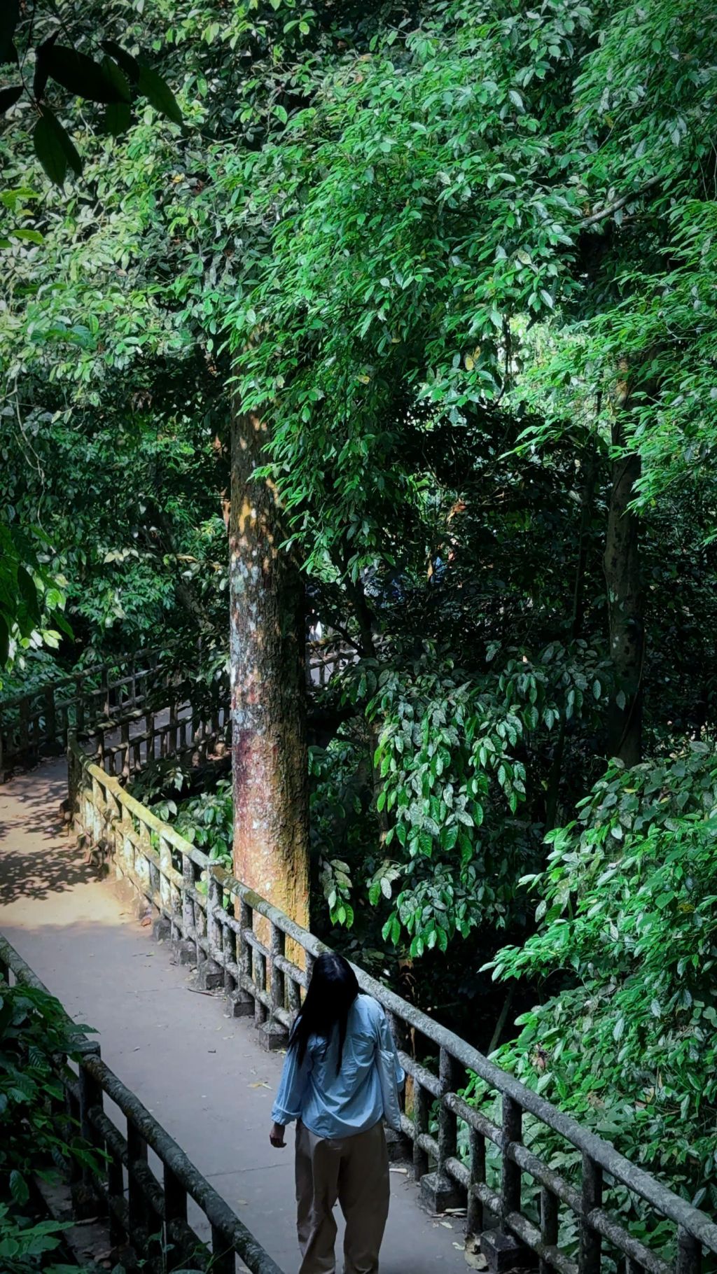 Experience safe trekking in Cuc Phuong National Park. - 2