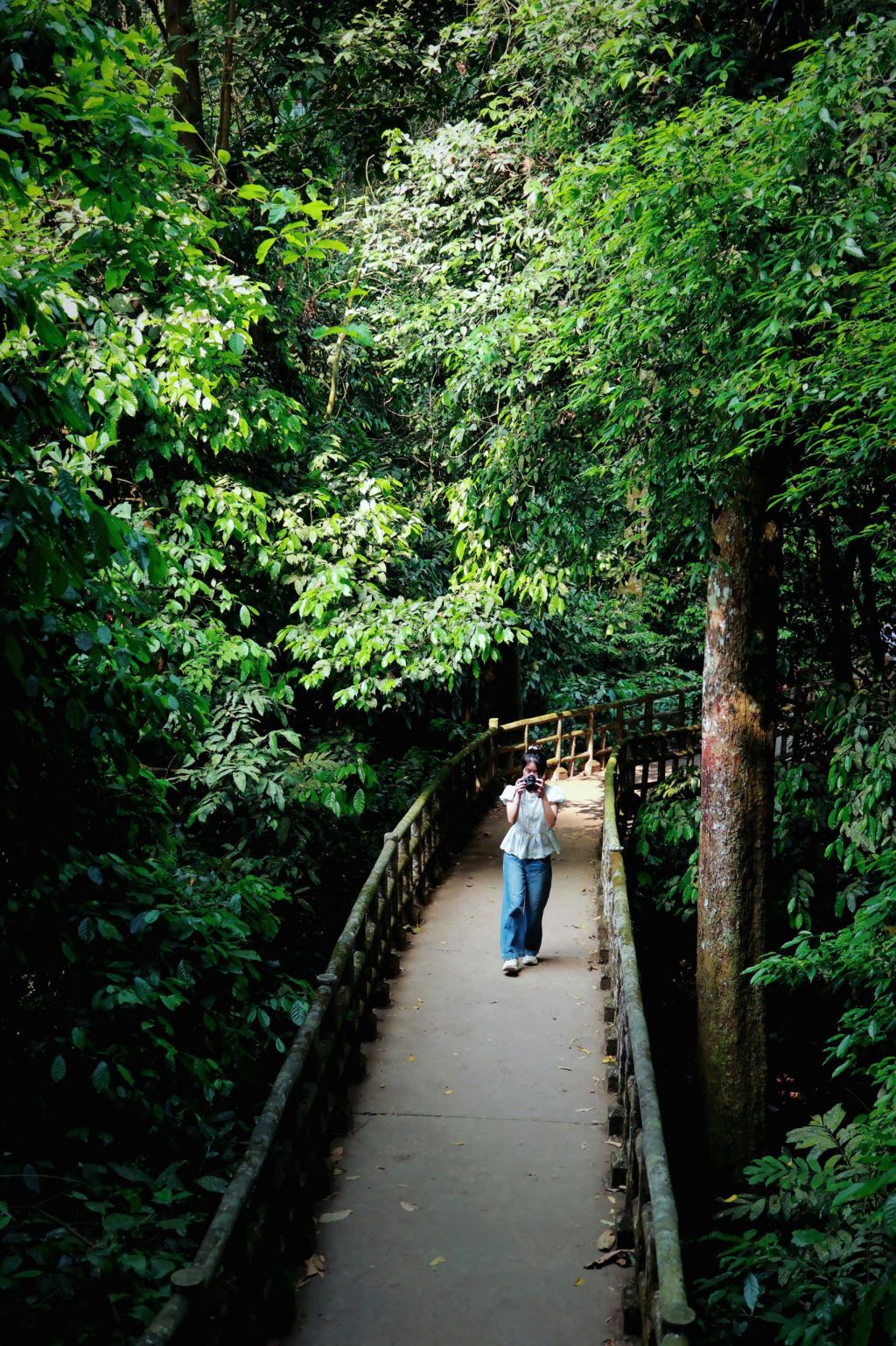 Important notes when going to Cuc Phuong forest: - Do not go into the forest alone. - 2