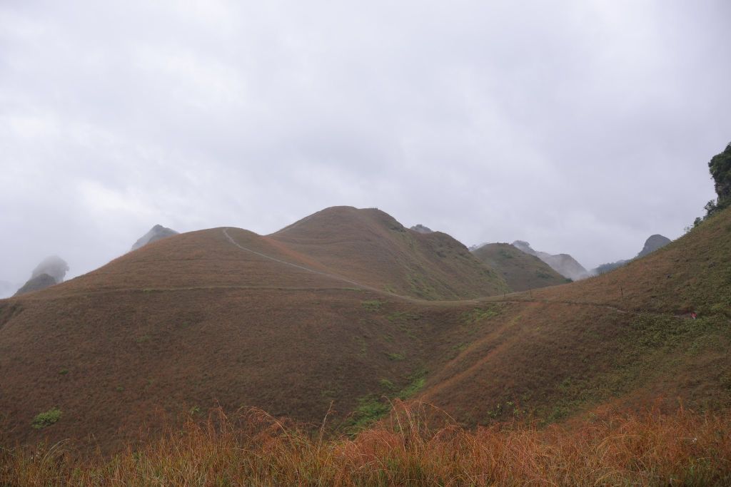 美如电影的草坡，吸引着游客来到高平 - 4