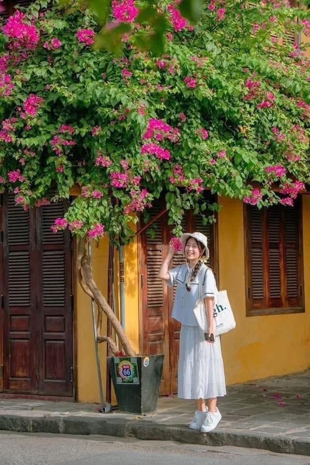 Guide to checking in Hoi An properly to have Hoi An "heal your skin." - 3