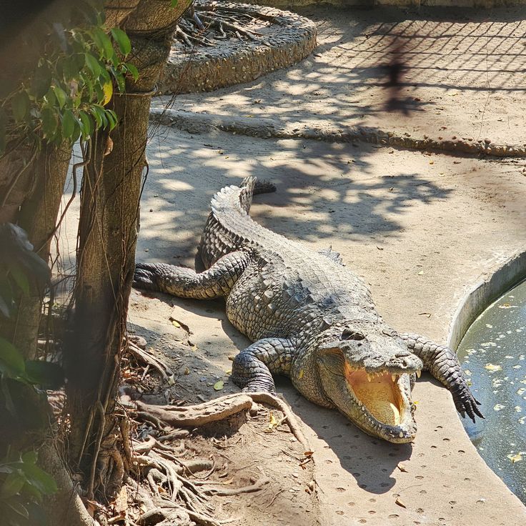 투레 공원 - 가까운 곳에서 놀기 좋고, 가기 쉽고 비용이 많이 들지 않는 곳 - ảnh 8