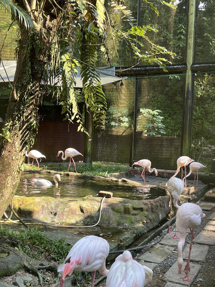 투레 공원 - 가까운 곳에서 놀기 좋고, 가기 쉽고 비용이 많이 들지 않는 곳 - ảnh 9
