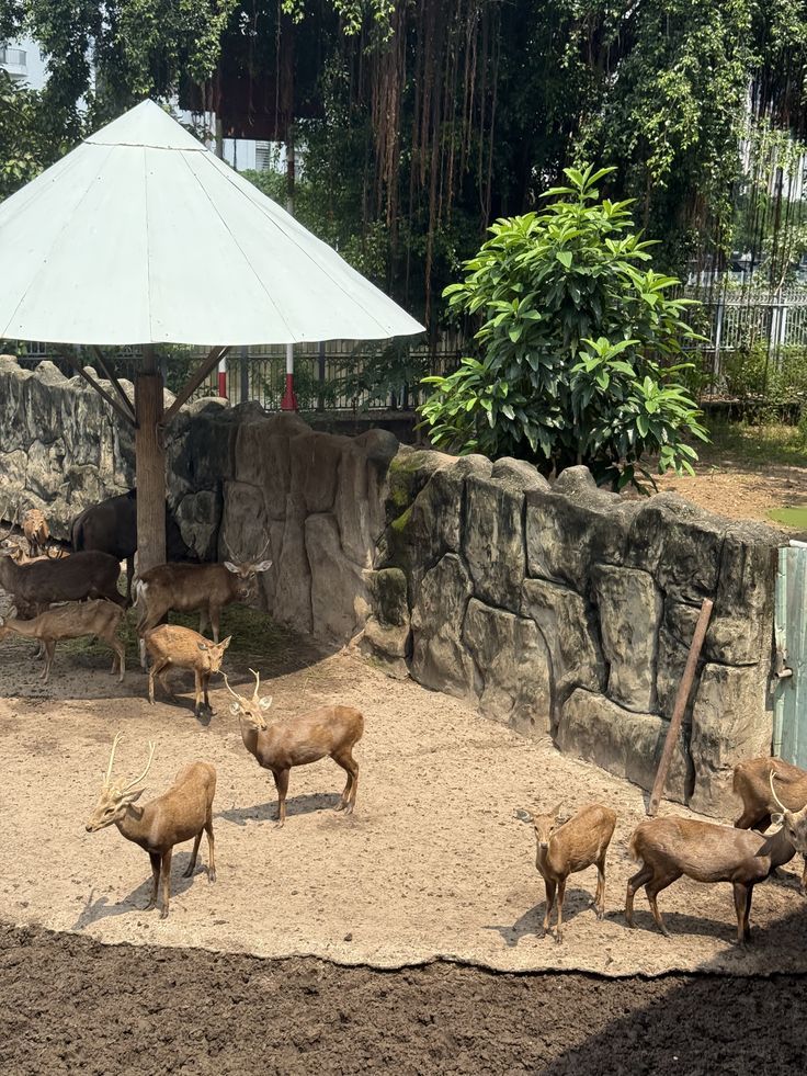 투레 공원 - 가까운 곳에서 놀기 좋고, 가기 쉽고 비용이 많이 들지 않는 곳 - ảnh 10