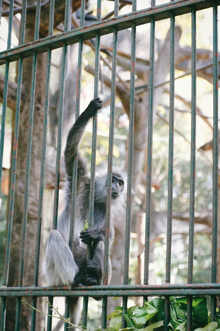 투레 공원 - 가까운 곳에서 놀기 좋고, 가기 쉽고 비용이 많이 들지 않는 곳 - ảnh 11
