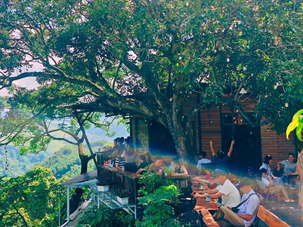 Homi Coffee - Khe Sanh - Quang Tri - 1