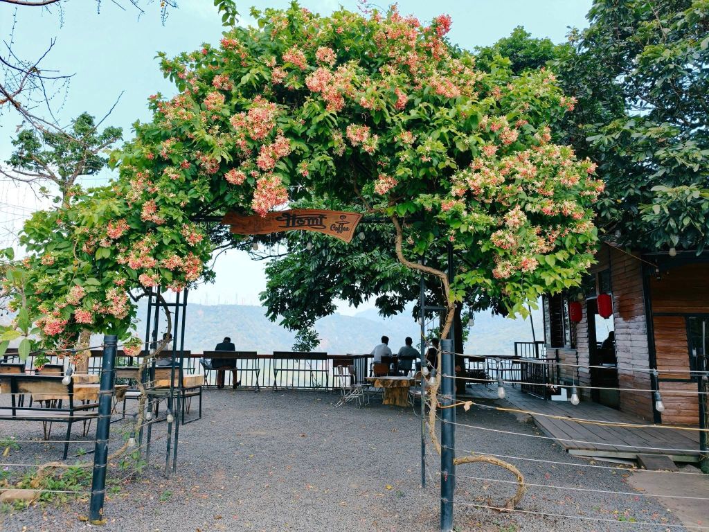 Homi Coffee - Khe Sanh - Quang Tri - 3