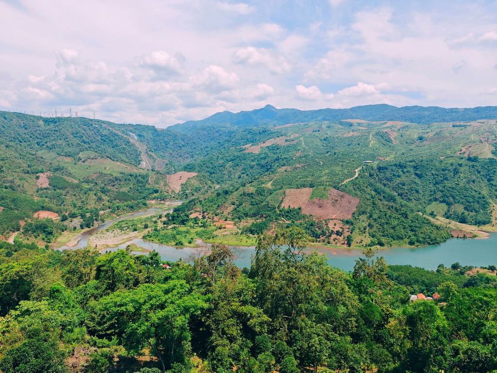 Homi Coffee - Khe Sanh - Quang Tri - ảnh 9